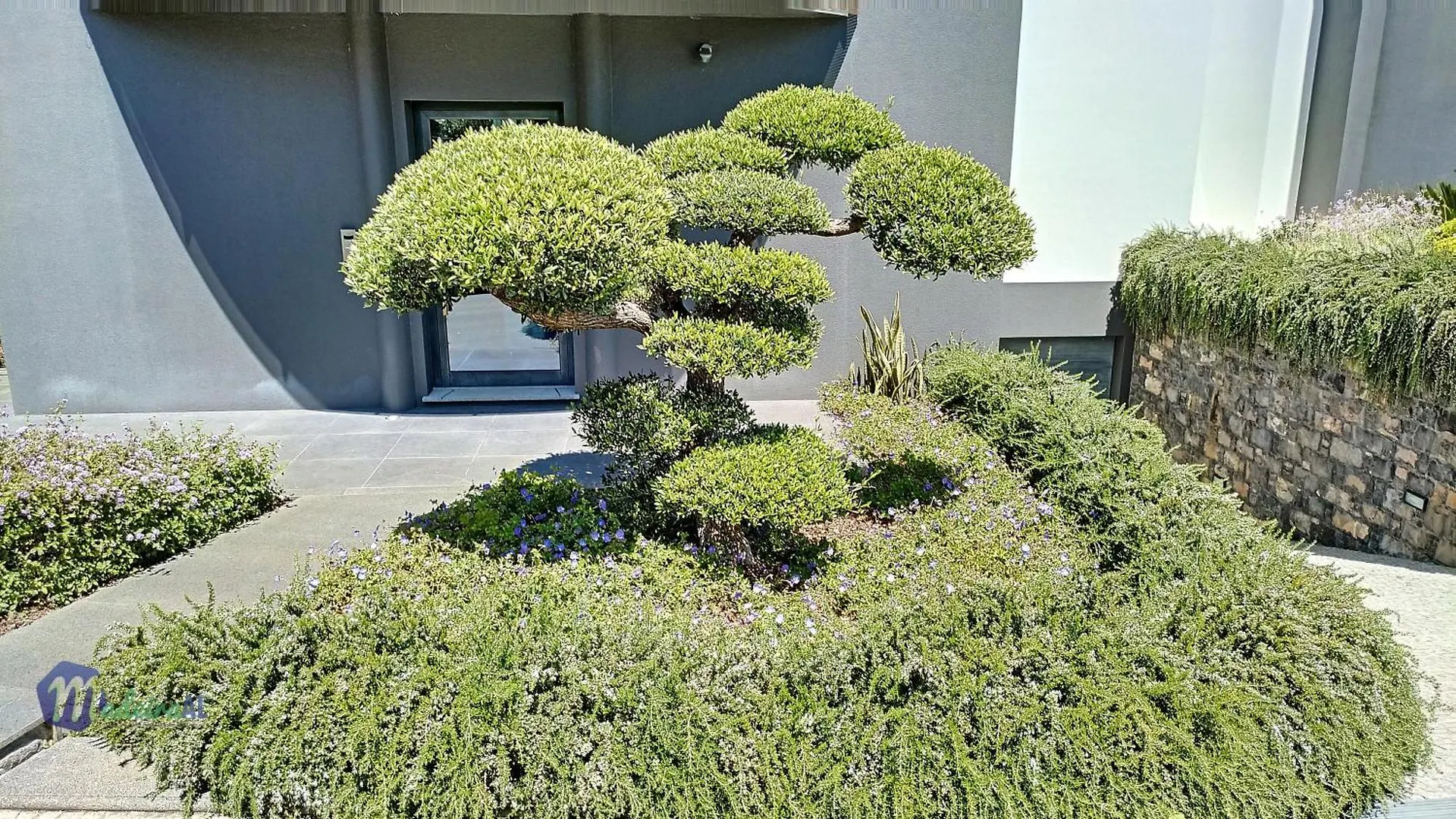 Villa Bonsai Arco da Calheta