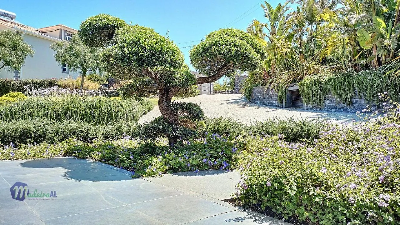 Villa Bonsai Arco da Calheta  0*, Arco da Calheta (Madeira) Portugal